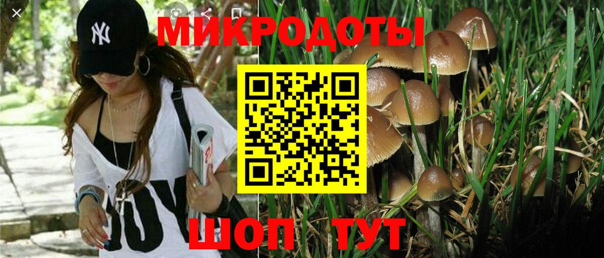 Псилоцибиновые грибы Magic Shrooms  купить  сайты  Камышлов  Вход с VPN 
