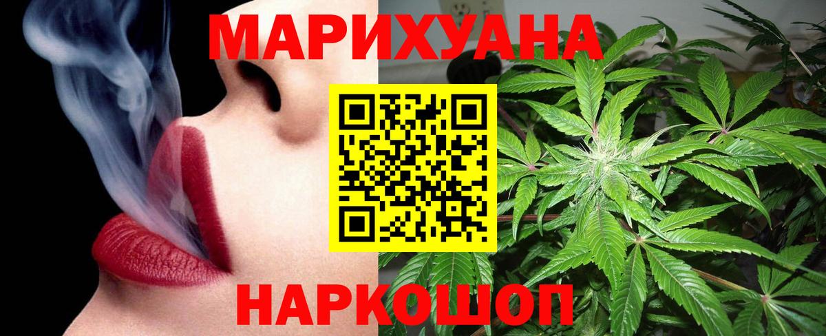 Конопля гибрид Камышлов